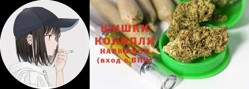 Бошки марихуана THC 21%  Людиново 